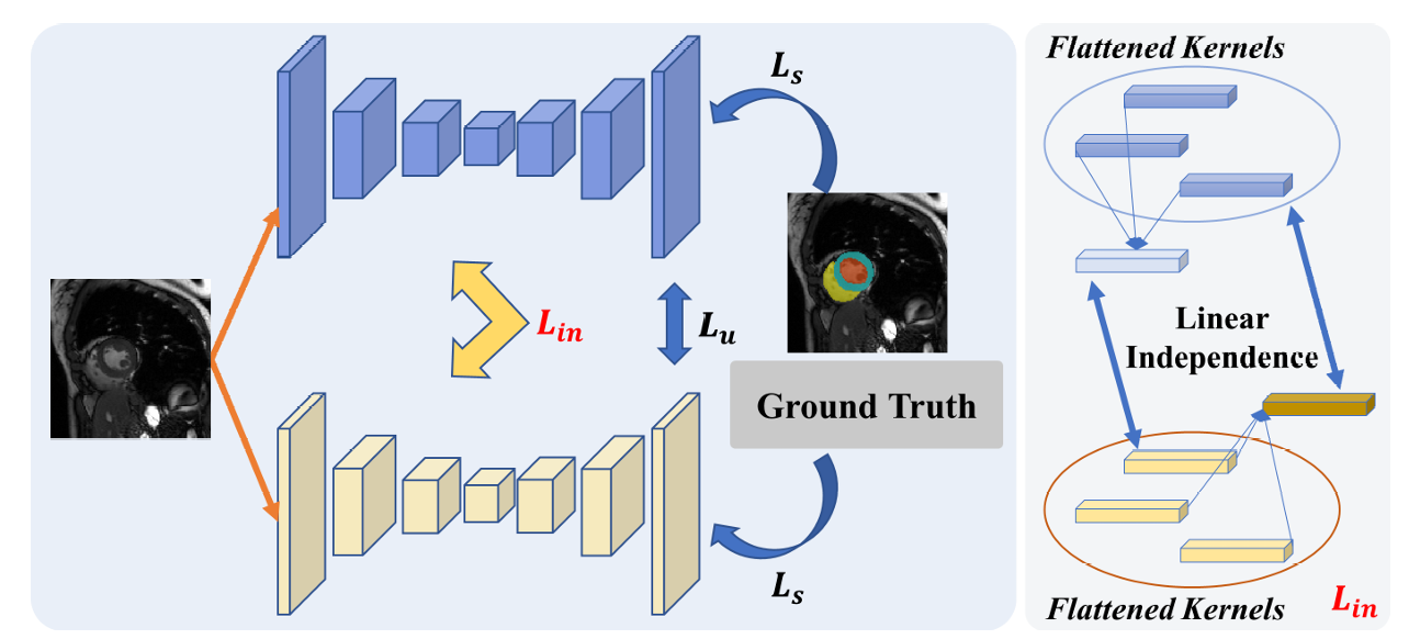 CauSSL: Causality-inspired Semi-supervised Learning for Medical Image Segmentation