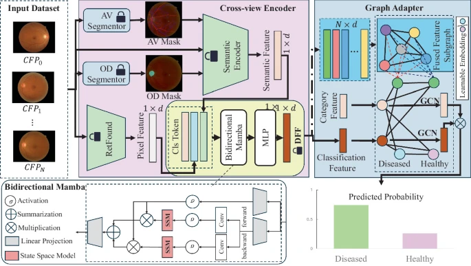 Cerebrovascular Diseases Screening from Color Fundus Photography via Cross-View Fusion and Graph-Based Discrimination