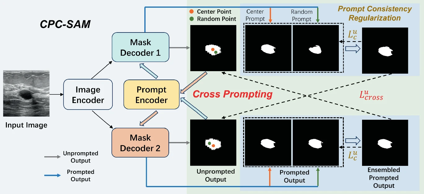 Cross Prompting Consistency with Segment Anything Model for Semi-supervised Medical Image Segmentation