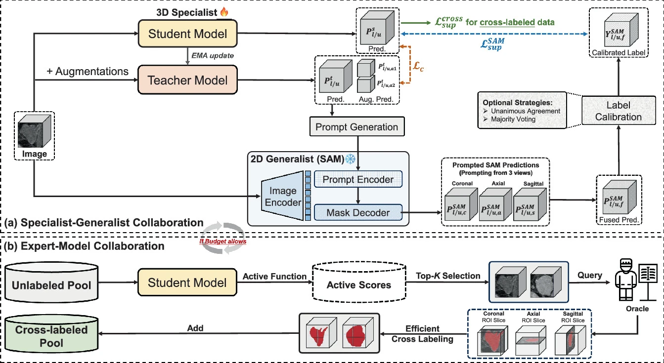 FM-ABS: Promptable Foundation Model Drives Active Barely Supervised Learning for 3D Medical Image Segmentation