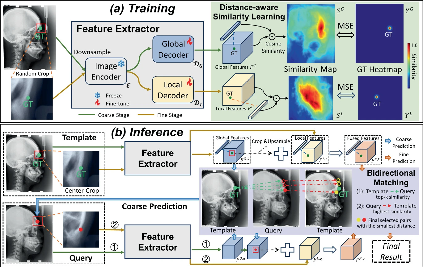FM-OSD: Foundation Model-Enabled One-Shot Detection of Anatomical Landmarks