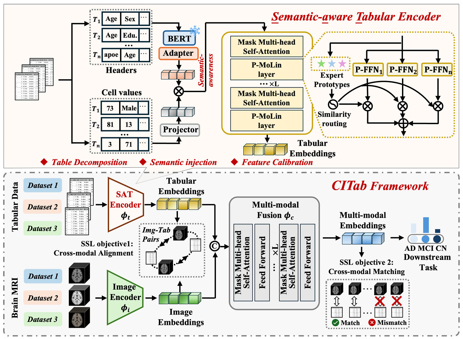 Unleashing the Power of Image-Tabular Self-Supervised Learning via Breaking Cross-Tabular Barriers