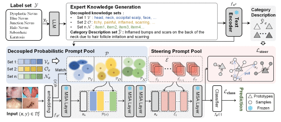 LLM-Guided Decoupled Probabilistic Prompt for Continual Learning in Medical Image Diagnosis