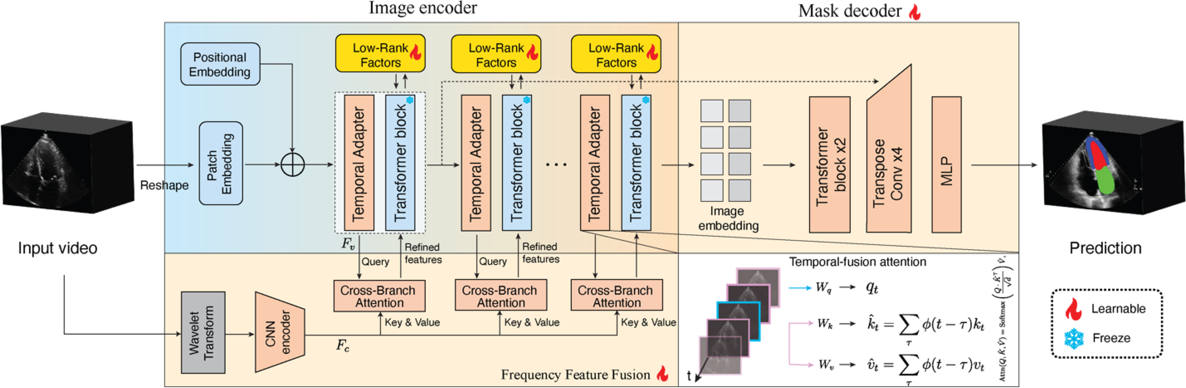 MediViSTA: Medical Video Segmentation Via Temporal Fusion SAM Adaptation for Echocardiography