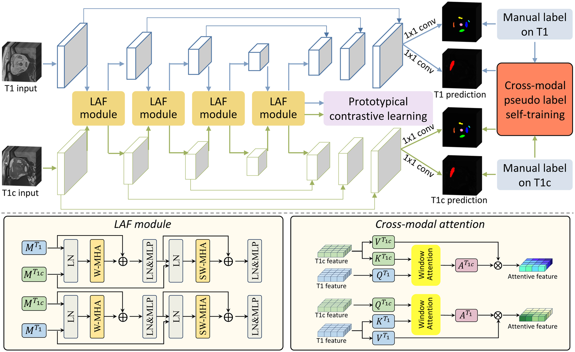 Multi-Organ Segmentation From Partially Labeled and Unaligned Multi-Modal MRI in Thyroid-Associated Orbitopathy