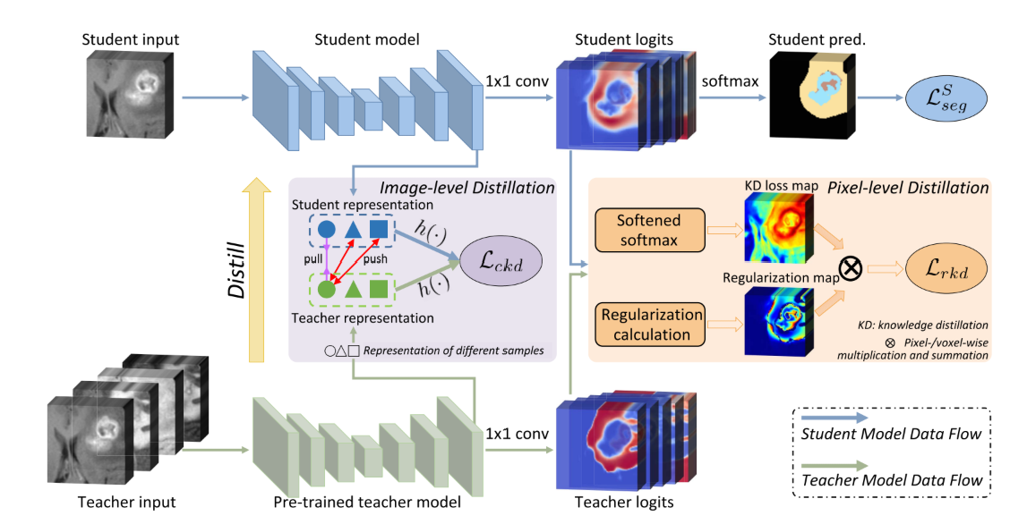 Learning with Privileged Multimodal Knowledge for Unimodal Segmentation