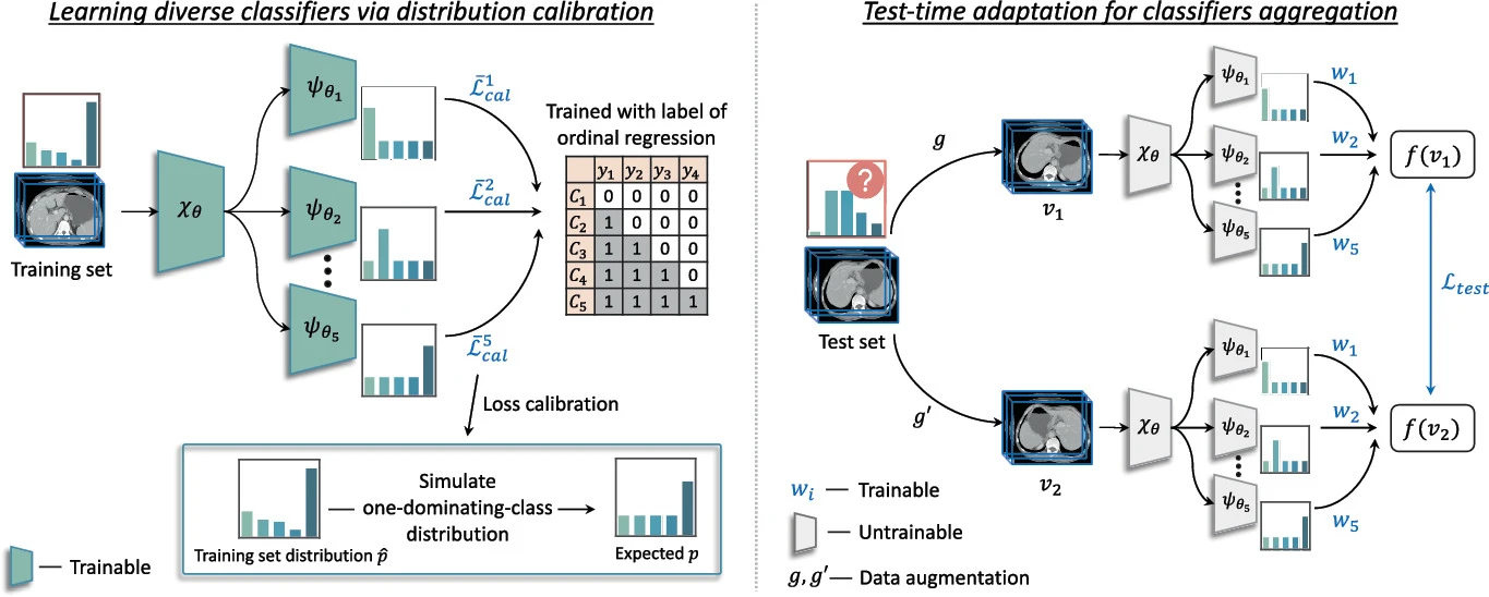 Test-time Adaptation with Calibration of Medical Image Classification Nets for Label Distribution Shift